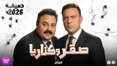 فيلم صقر وكناريا