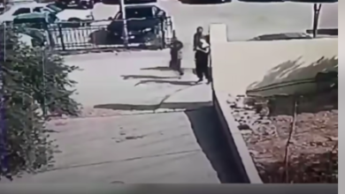 فيديو حادثة الكرك كنيسة الحمود الأردن