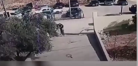 فيديو حادثة الكرك كنيسة الحمود الأردن